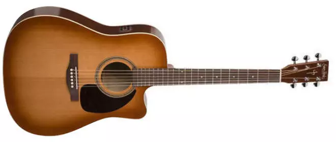 Cedar Cutaway GT A3T w/ Gig Bag - Vintage Burst