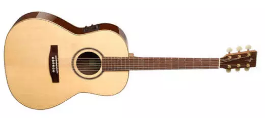 Showcase Folk Rosewood A6T w/ TRIC Case