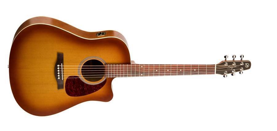 Seagull Entourage CW QI