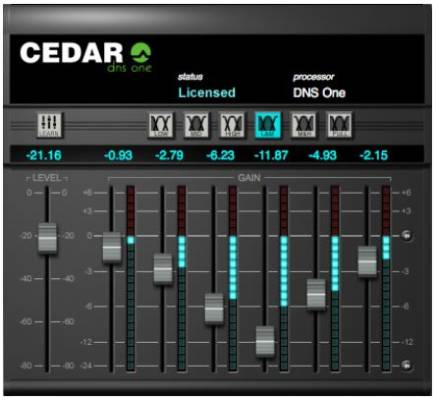 CEDAR Studio 8 DNS One & DNS Two
