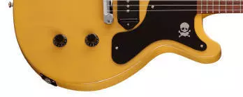 Billie Joe Armstrong Les Paul Double Cut with Bag