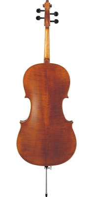 Intermediate Cello Outfit 4/4