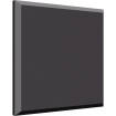 Auralex - B222 ProPanel Acoustic Ceiling Panel (Single) 2x2x2 -  Onyx