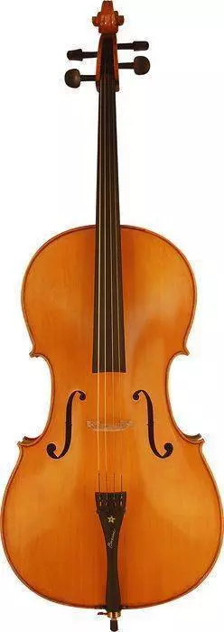 4/4 Cello Outfit \'Special\'