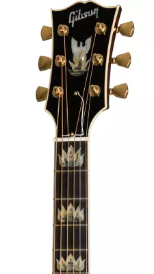 Firebird Acoustic - Antique Natural