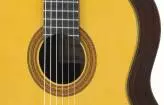 GC32S Classical Guitar, Solid Spruce & Rosewood