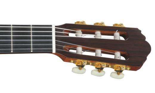 GC32S Classical Guitar, Solid Spruce & Rosewood