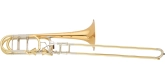 S. E. Shires - Q Series Bass Trombone with F\/Gb Dual Axial Flow Valve - Gold Brass Bell