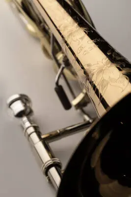 Q Series Bass Trombone with F/Gb Dual Axial Flow Valve - Gold Brass Bell