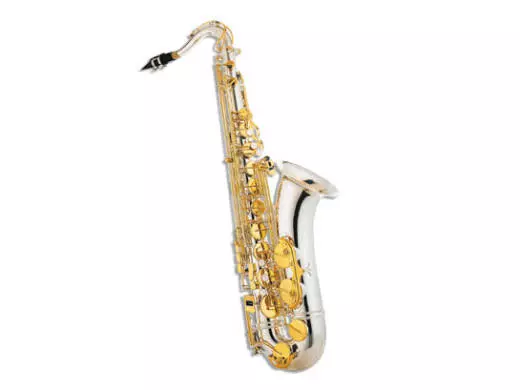 Artist Tenor Sax