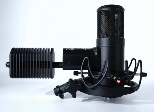 GA-800G Large Diaphragm Tube Condenser Microphone