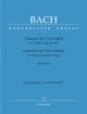 Baerenreiter Verlag - Concerto no. 1 in D minor BWV 1052 - Bach\/Breig - Solo Piano\/Piano Reduction (2 Pianos, 4 Hands) - Book