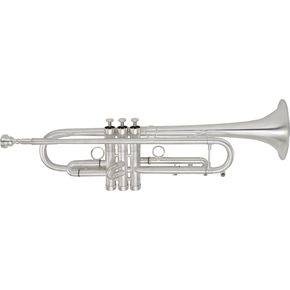 Bb Trumpet Outfit - Matte Silver