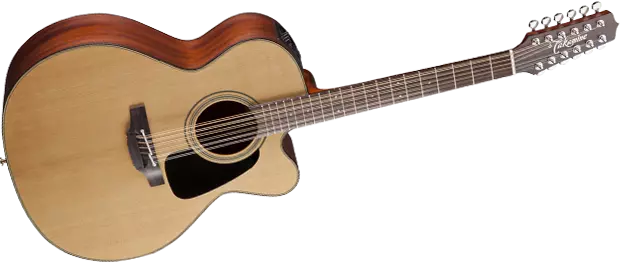Pro Series 1 Acoustic/Electric - Jumbo 12 String CA