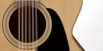 Pro Series 1 Acoustic/Electric - Jumbo 12 String CA