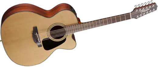 Pro Series 1 Acoustic/Electric - Jumbo 12 String CA