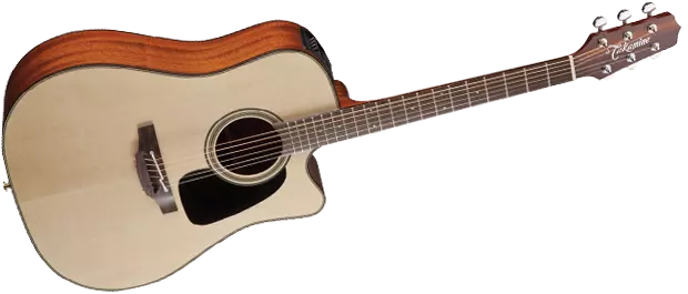 Pro Series 2 Acoustic/Electric