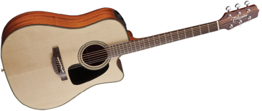 Pro Series 2 Acoustic/Electric