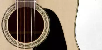 Pro Series 2 Acoustic/Electric