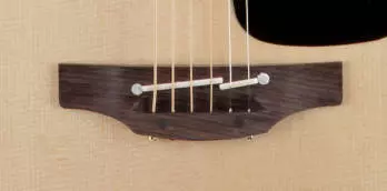 Pro Series 2 Acoustic/Electric