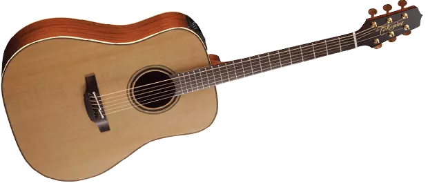 Pro Series 3 Acoustic/Electric - Dreadnought