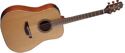 Pro Series 3 Acoustic/Electric - Dreadnought