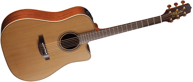 Pro Series 3 Acoustic/Electric - Dreadnought CA