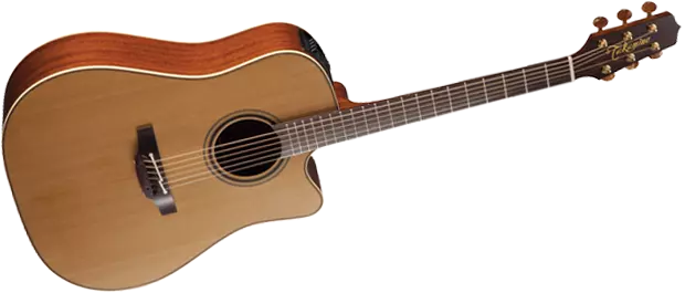 Pro Series 3 Acoustic/Electric - Dreadnought CA