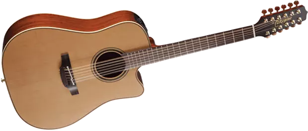 Pro Series 3 Acoustic/Electric - 12 String Dreadnought CA