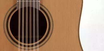 Pro Series 3 Acoustic/Electric - 12 String Dreadnought CA