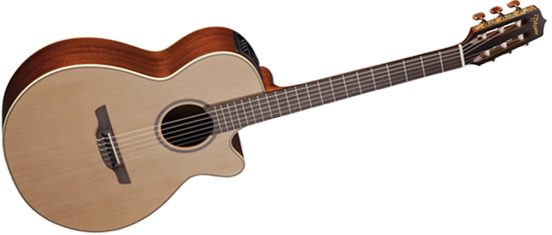 Pro Series 3 Acoustic/Electric - FXC Nylon String