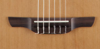 Pro Series 3 Acoustic/Electric - FXC Nylon String