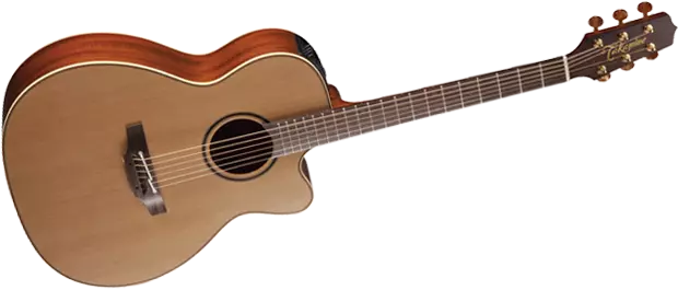 Pro Series 3 Acoustic/Electric - OM CA