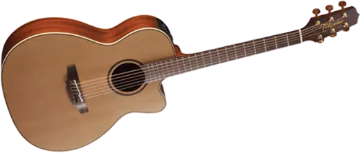 Pro Series 3 Acoustic/Electric - OM CA