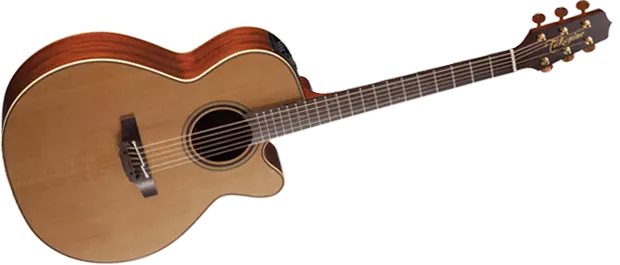 Pro Series 3 Acoustic/Electric - NEX CA