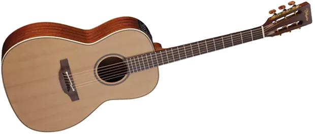 Pro Series 3 Acoustic/Electric - New Yorker