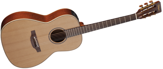 Pro Series 3 Acoustic/Electric - New Yorker