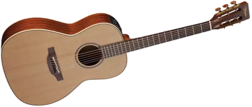 Pro Series 3 Acoustic/Electric - New Yorker