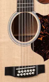 Performing Artist GP - 12 String Cutaway