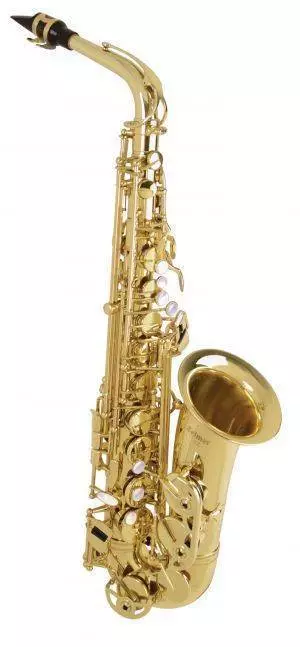 Intermediate Alto Sax w/Bam Case