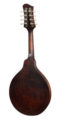 MD304 A-Style Mandolin Spruce/Maple with Gig Bag