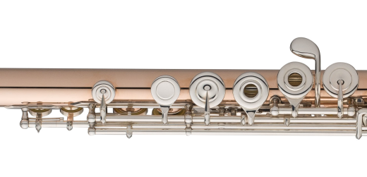 Q Fusion 9K Gold Flute with Inline-G, B-Foot