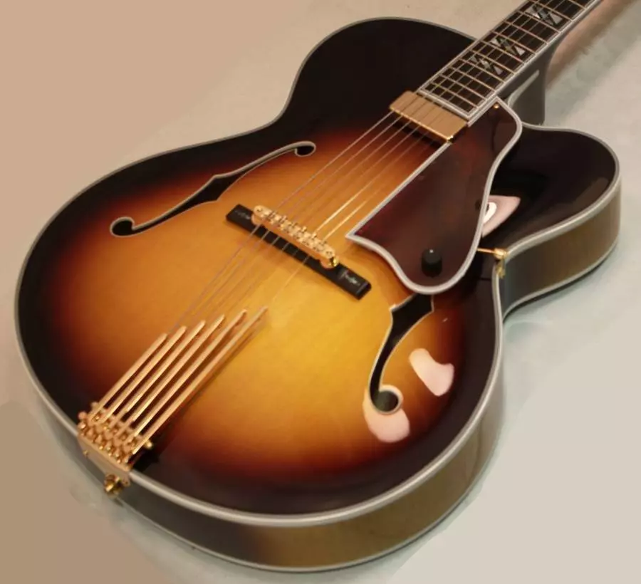Le Grande Reissue Électrique à Corps-Creux - Vintage Sunburst