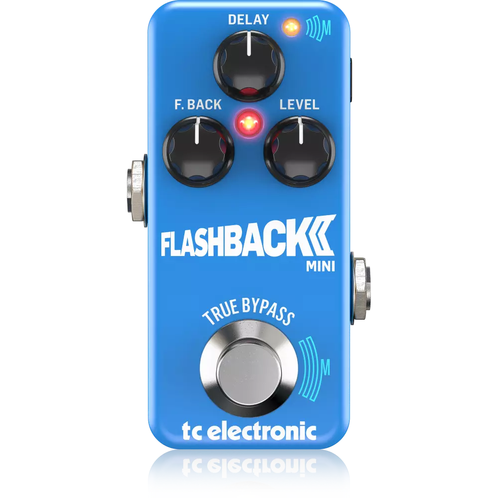 Flashback 2 Mini Delay Pedal