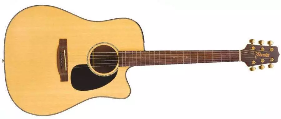 G Series Acoustic/Electric - Natural Satin