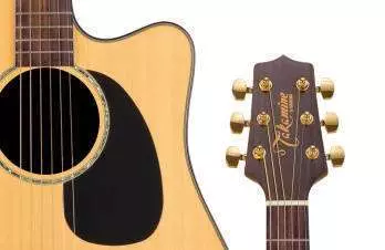 G Series Acoustic/Electric - Natural Satin
