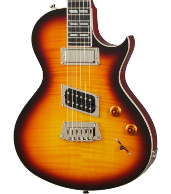 Nancy Wilson Signature Fanatic with Hardshell Case - Fireburst