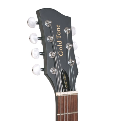 Wayne Rogers Signature 7-String Banjo with Gig Bag