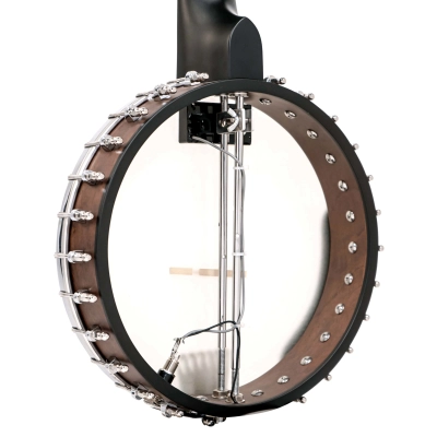 Wayne Rogers Signature 7-String Banjo with Gig Bag