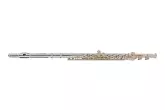 Carlton - Silver Plated Flute Outfit
